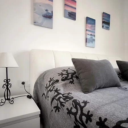 Amber Cristianos - El Cardon